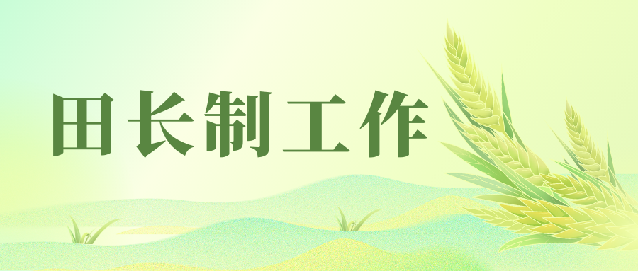 “智慧耕保” 赋码管田 | 湖南省长沙市探索数字化耕地保护监管纪略