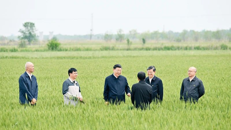 《求是》发布习近平重要文章：切实加强耕地保护  抓好盐碱地综合改造利用