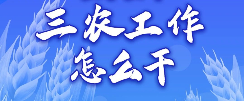 一图读懂丨2024年三农工作怎么干？