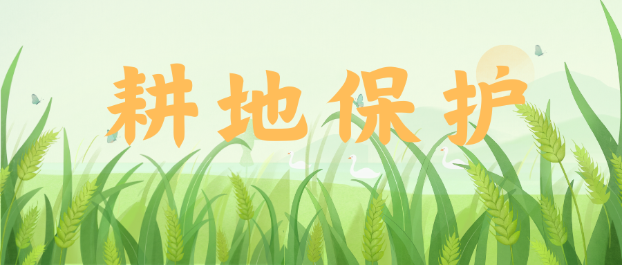 重磅！广东省印发《广东省耕地保护专项规划（2021-2035年）》