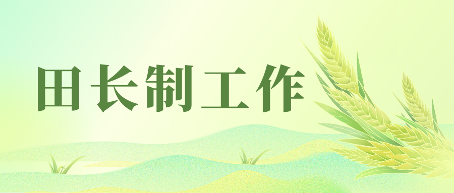 广东省2024年第1号总田长令签发——颁布实施《广东省田长制工作规则》等三项配套制度