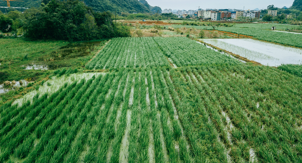 田长制耕地网格化管理