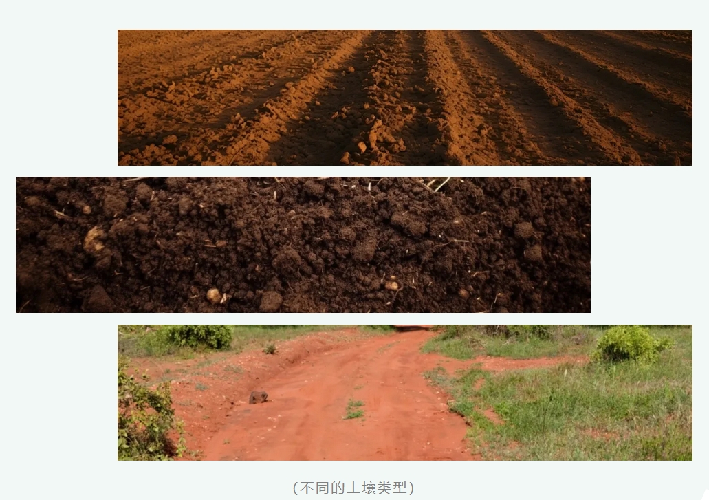 碳汇3.png